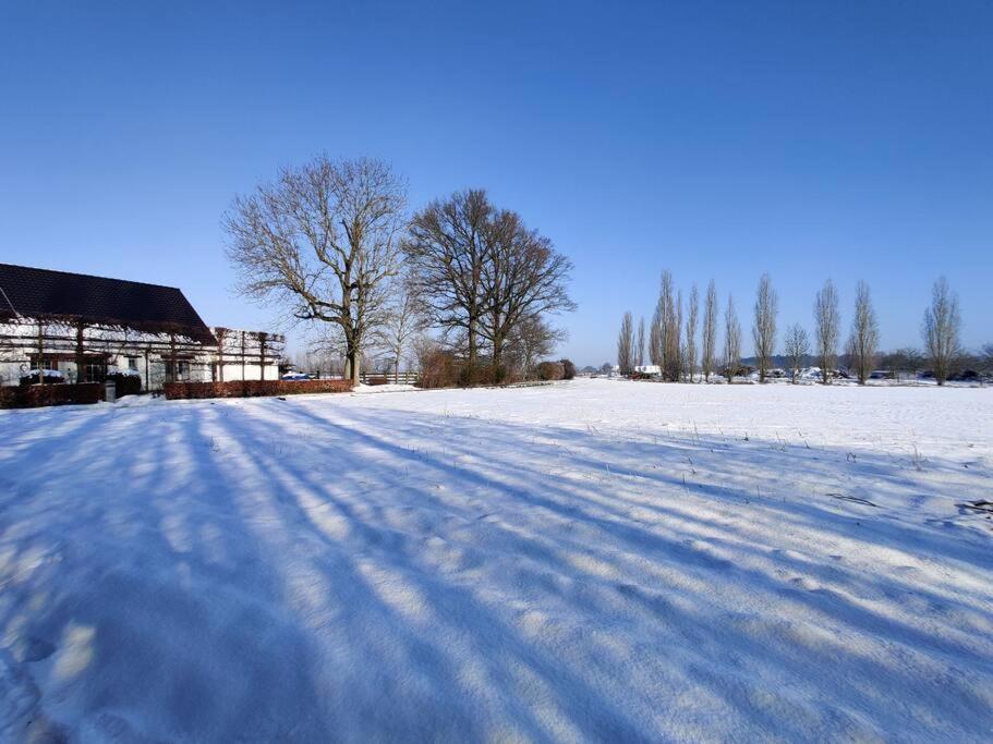 The Horst Cottage Holsbeek Exterior foto