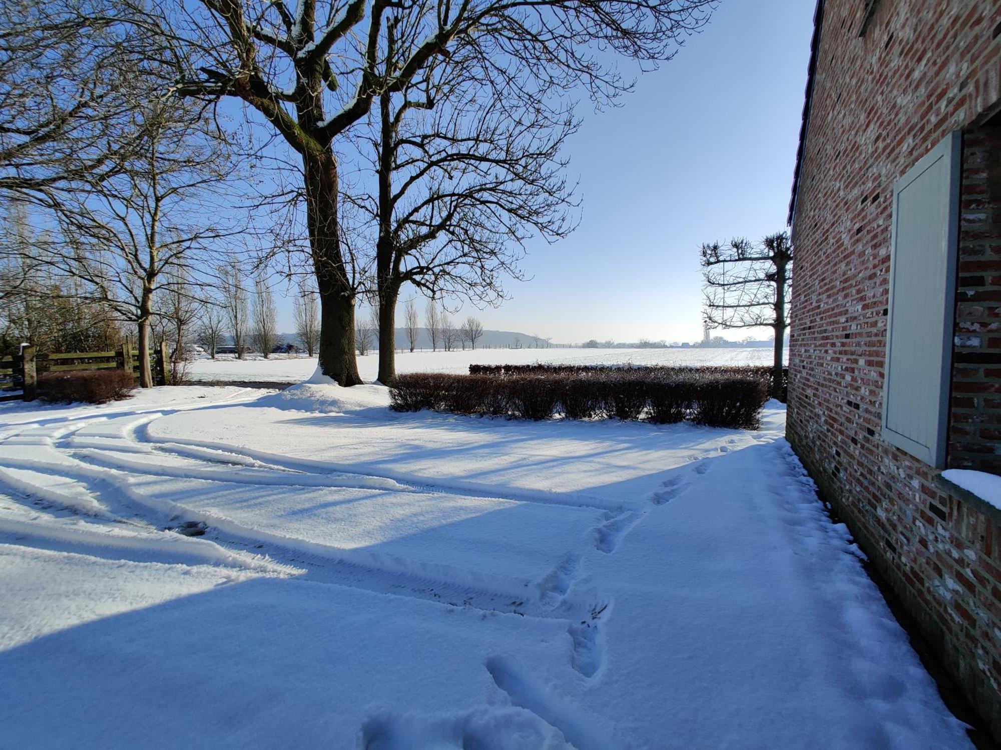 The Horst Cottage Holsbeek Exterior foto
